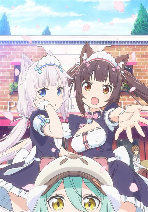 nekopara|nekopara streaming.